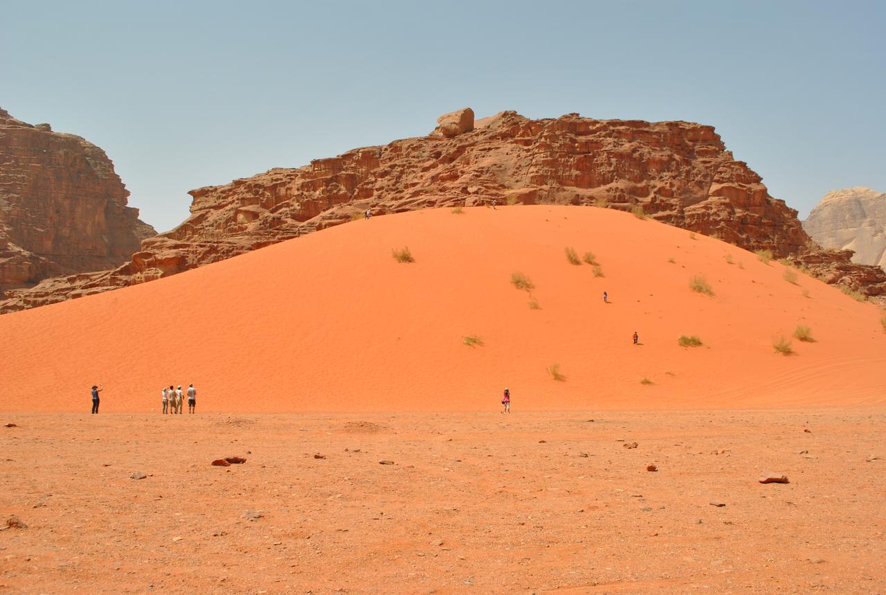 Wadi Rum Green Desert Экстерьер фото