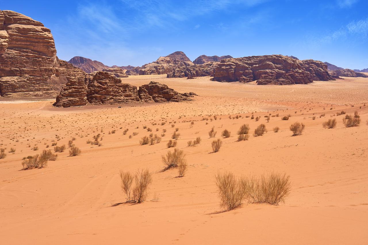 Wadi Rum Green Desert Экстерьер фото